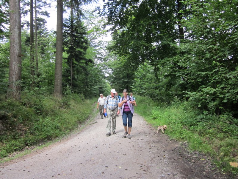 Wandern