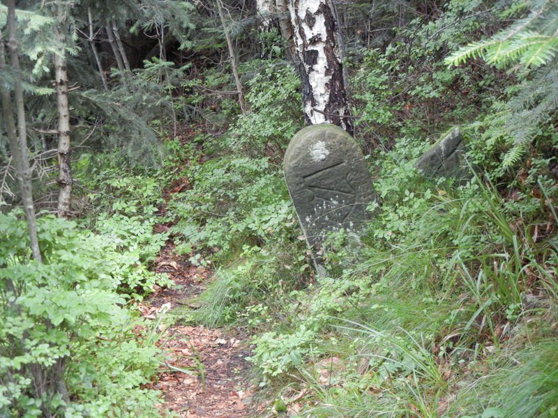 Bernsteinwanderung