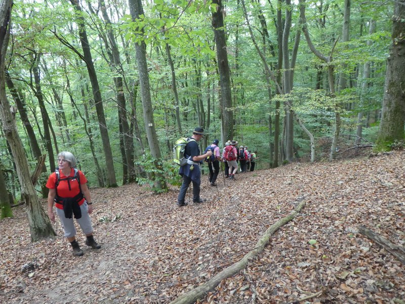 Kaiserstuhlwanderung