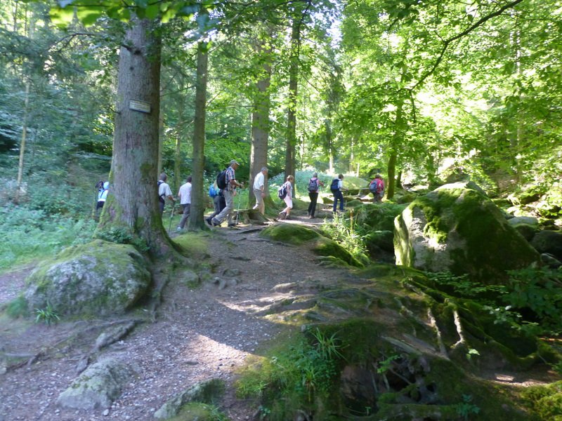Sommerwanderung
