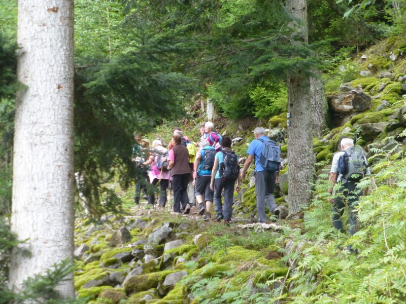 Sommerwanderung