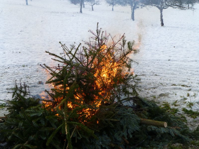 Christbaumsammelaktion