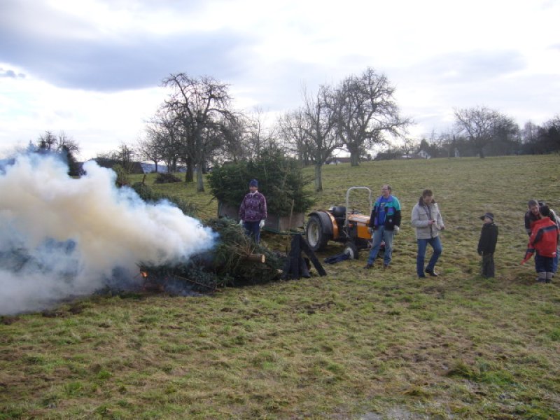 Christbaumsammelaktion