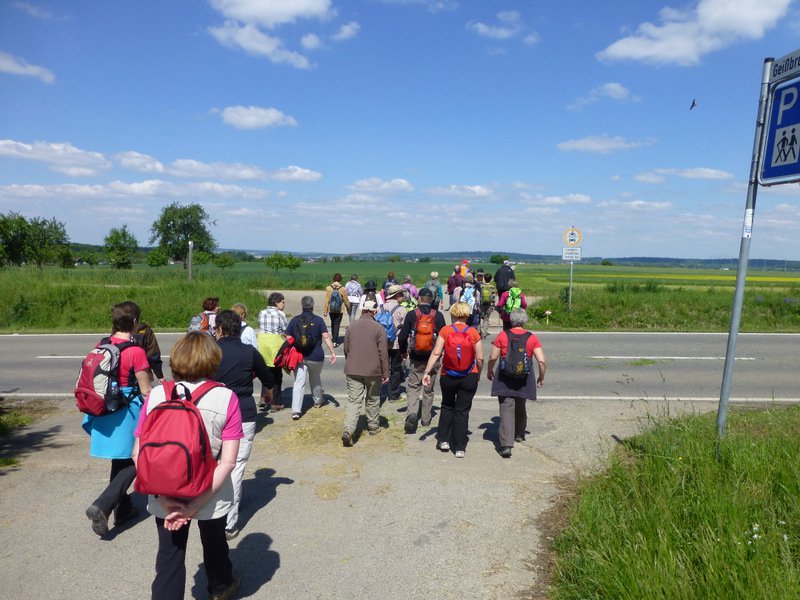 Landeswandertag