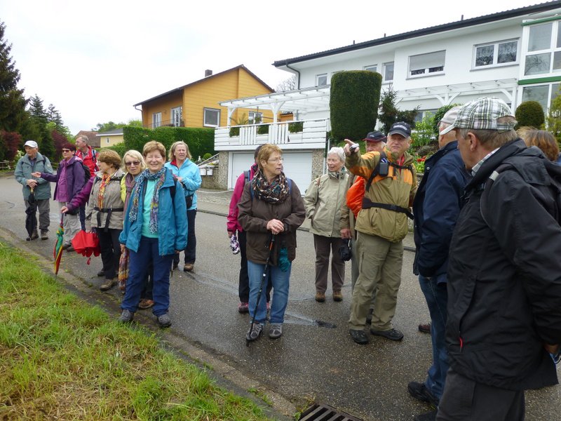 Landeswandertag