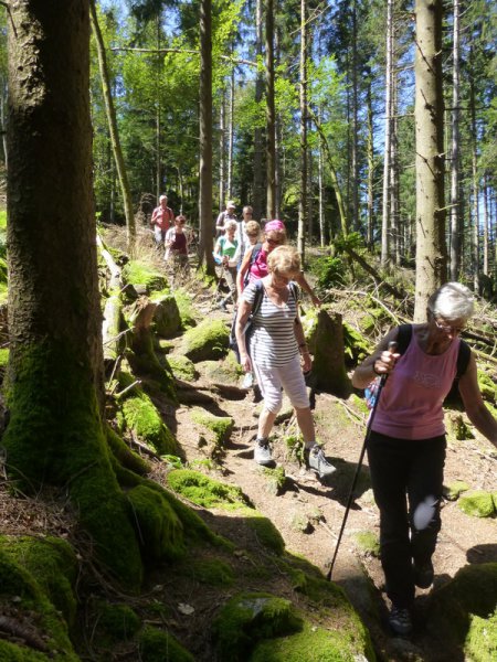 Sommerwanderung