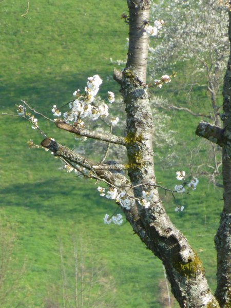 Wandern