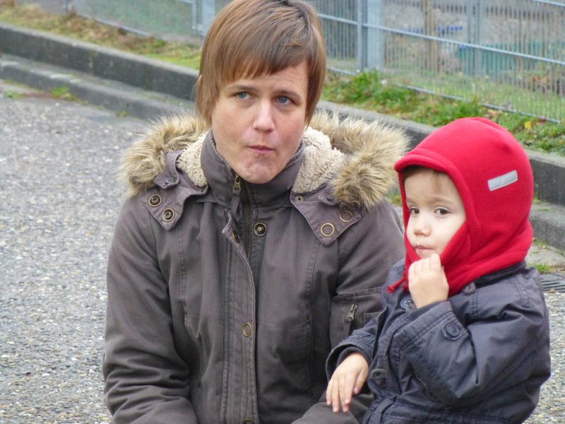 Christbaumsammelaktion