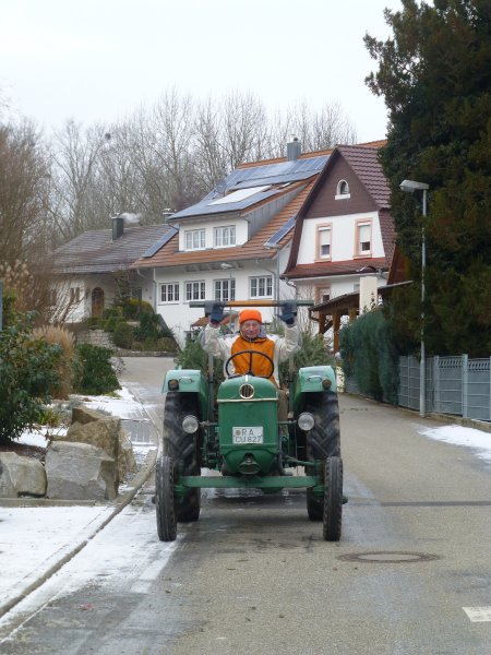 Christbaumsammeln