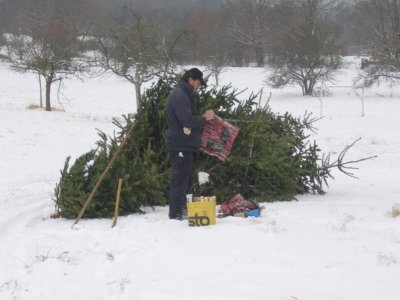 Christbaumsammelaktion