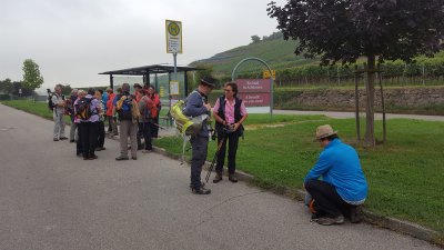 Kaiserstuhlwanderung