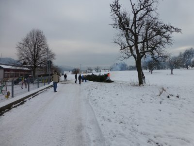 Christbaumsammelaktion