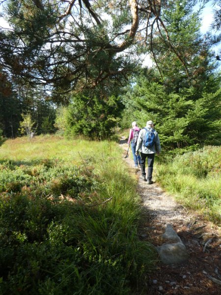 Sommerwanderung