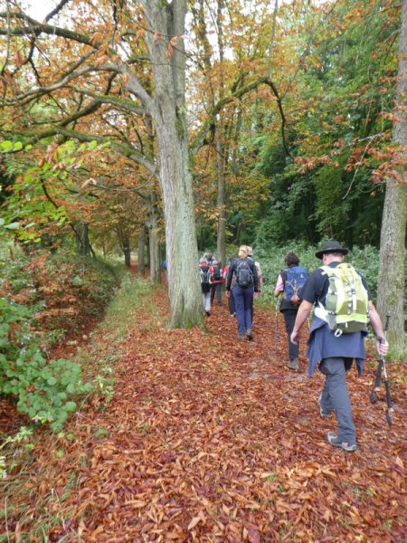 Kaiserstuhlwanderung