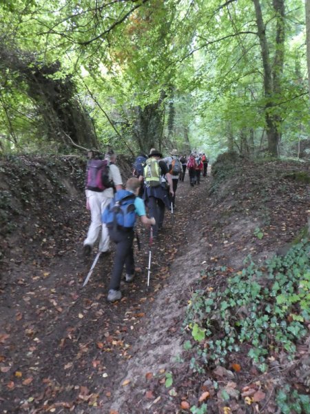 Kaiserstuhlwanderung