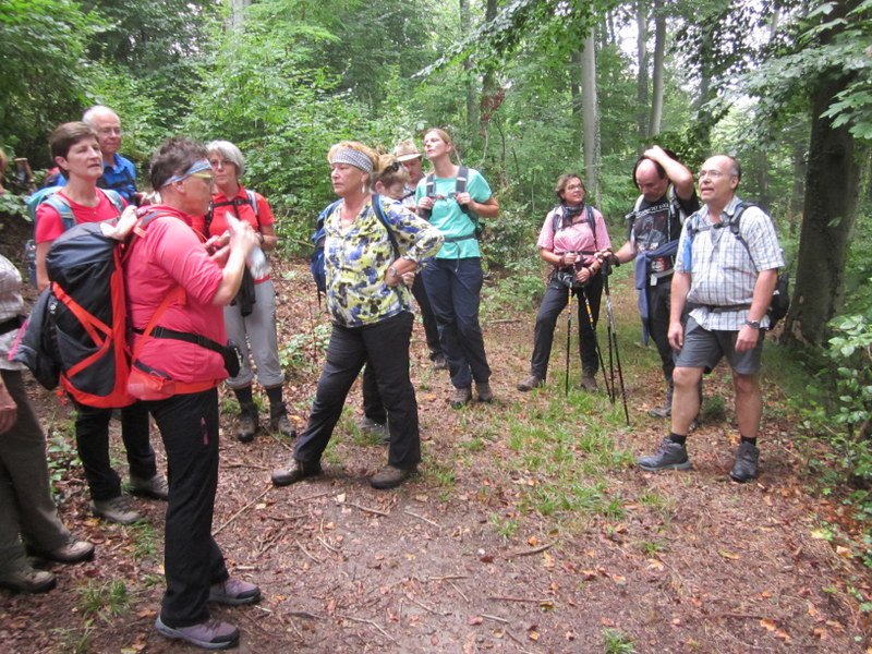 Kaiserstuhlwanderung