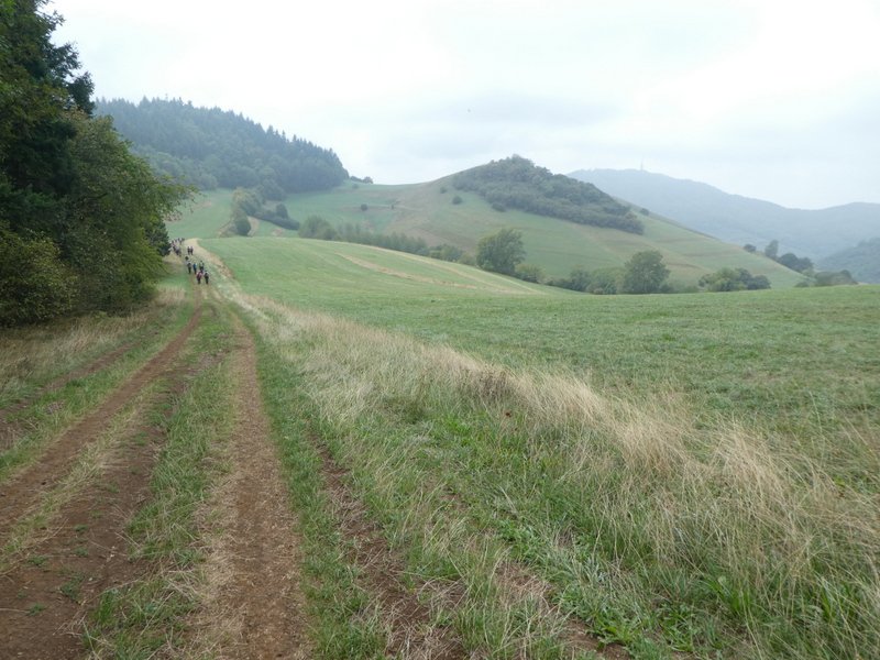 Kaiserstuhlwanderung