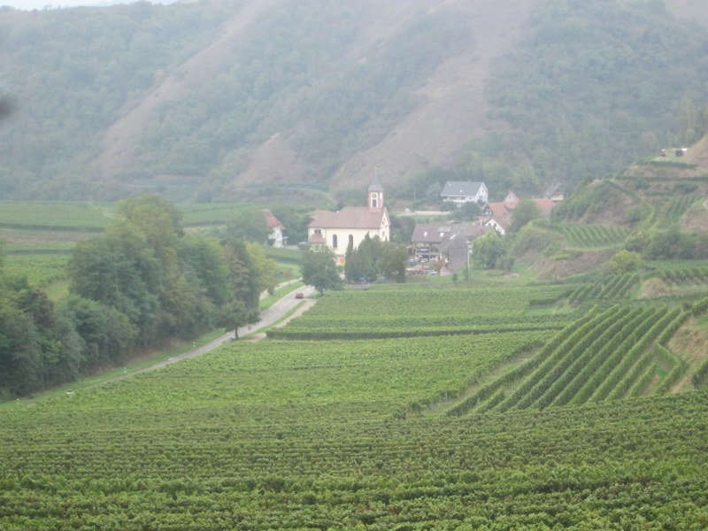 Kaiserstuhlwanderung