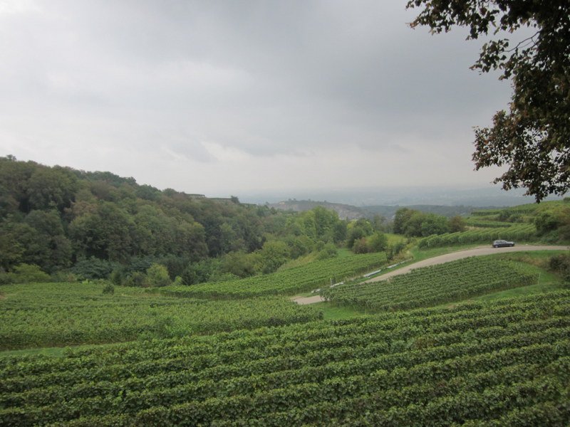 Kaiserstuhlwanderung