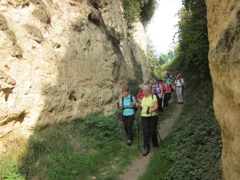 Kaiserstuhlwanderung
