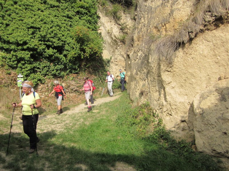 Kaiserstuhlwanderung