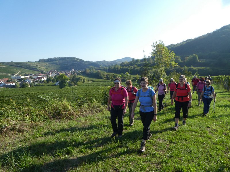 Kaiserstuhlwanderung
