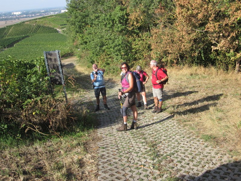 Kaiserstuhlwanderung