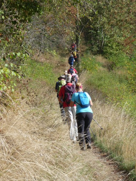 Kaiserstuhlwanderung
