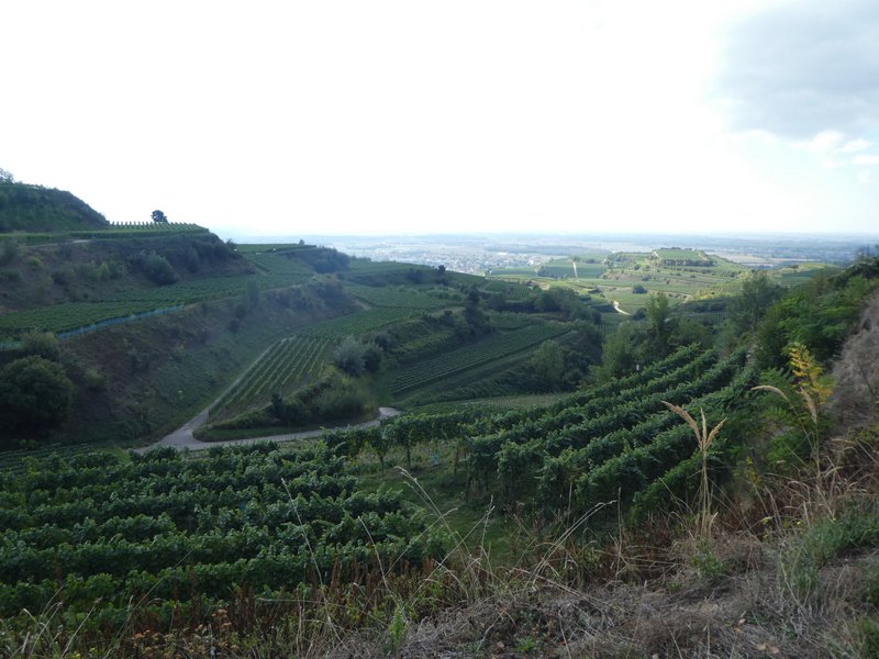 Kaiserstuhlwanderung