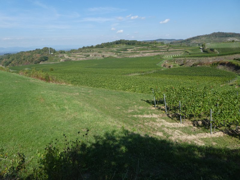 Kaiserstuhlwanderung