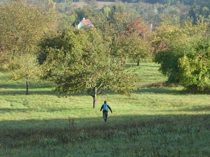 Herbstwanderung
