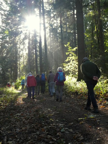 Herbstwanderung