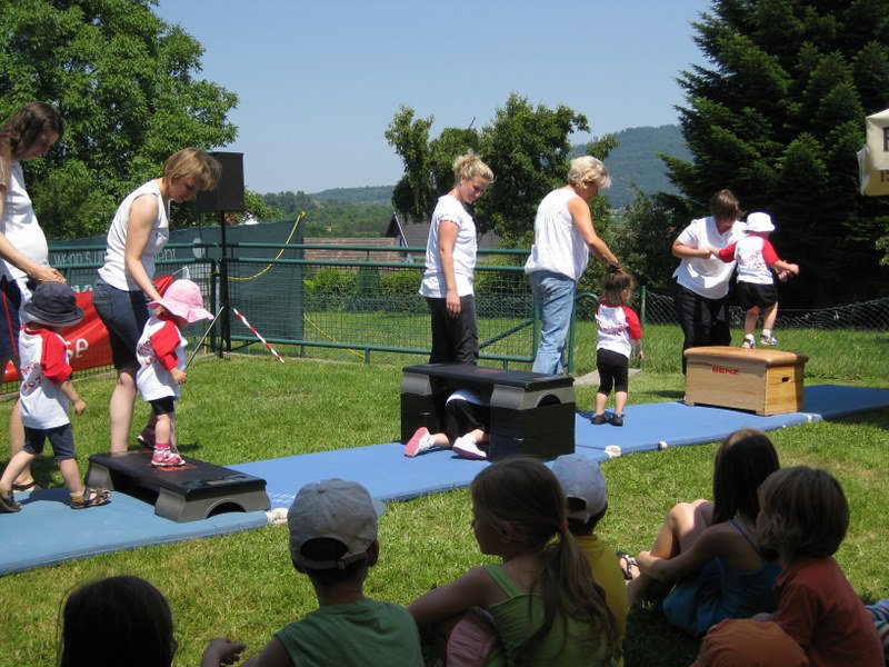 2010 Sommerfest
