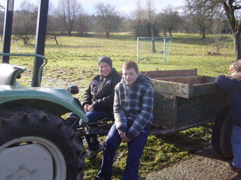 Christbaumsammelaktion