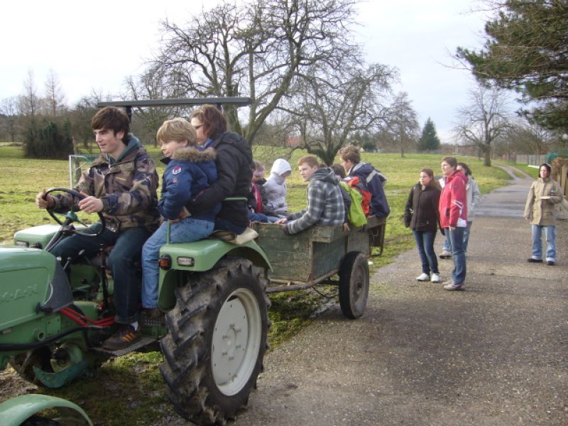 Christbaumsammelaktion