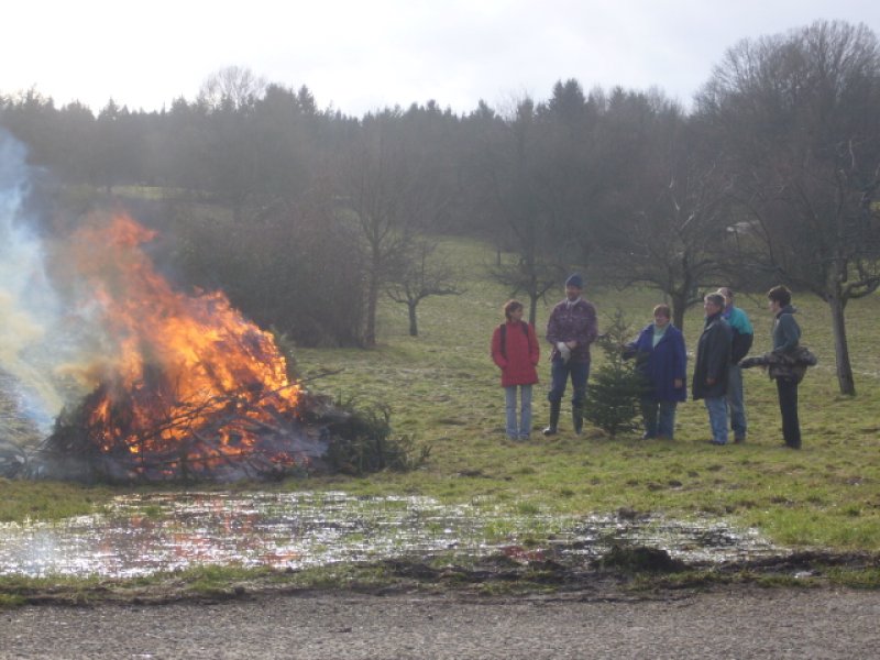 Christbaumsammelaktion