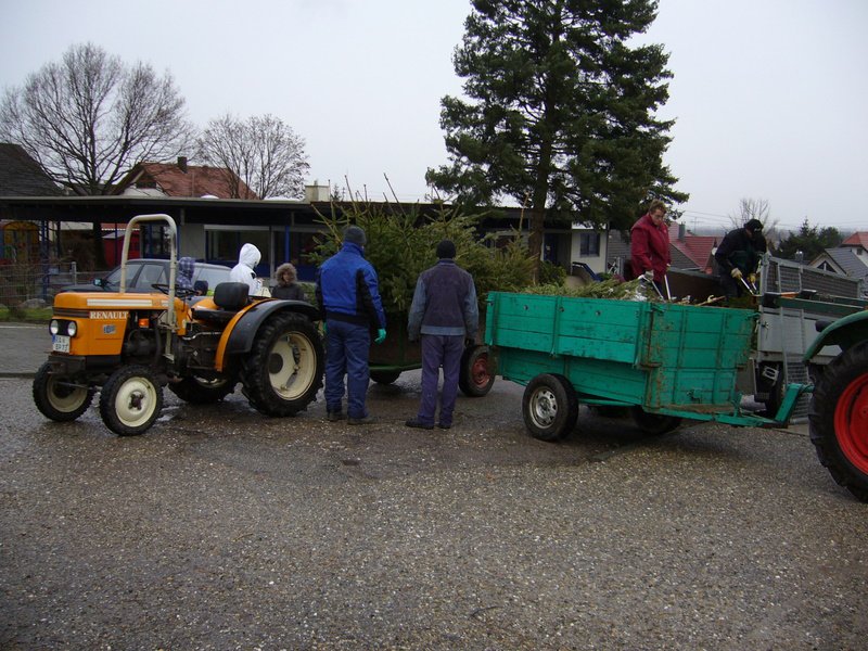 Christbaumsammelaktion
