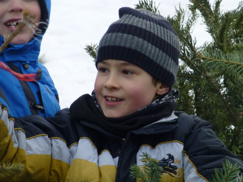 Christbaumsammelaktion