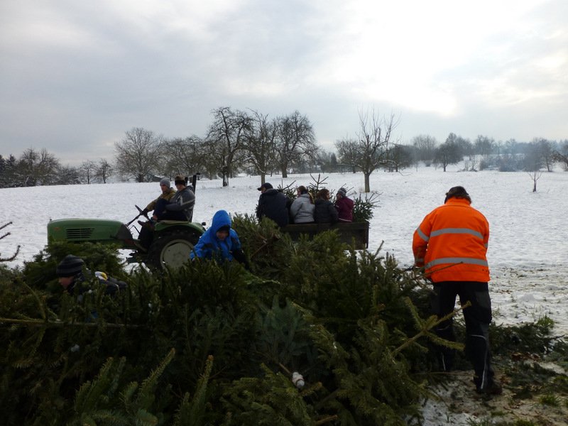 Christbaumsammelaktion
