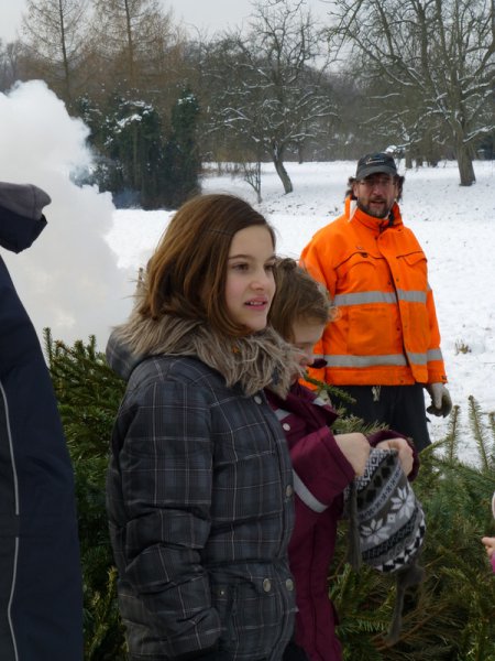 Christbaumsammelaktion