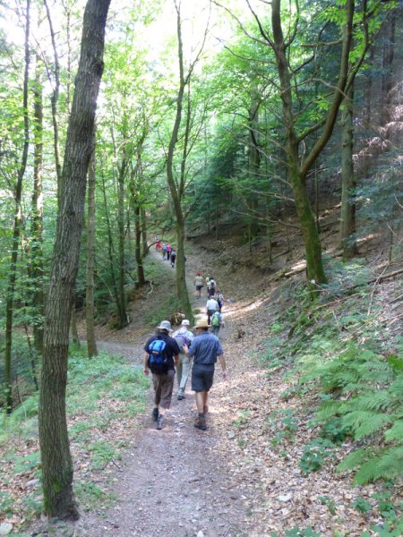 Wandern