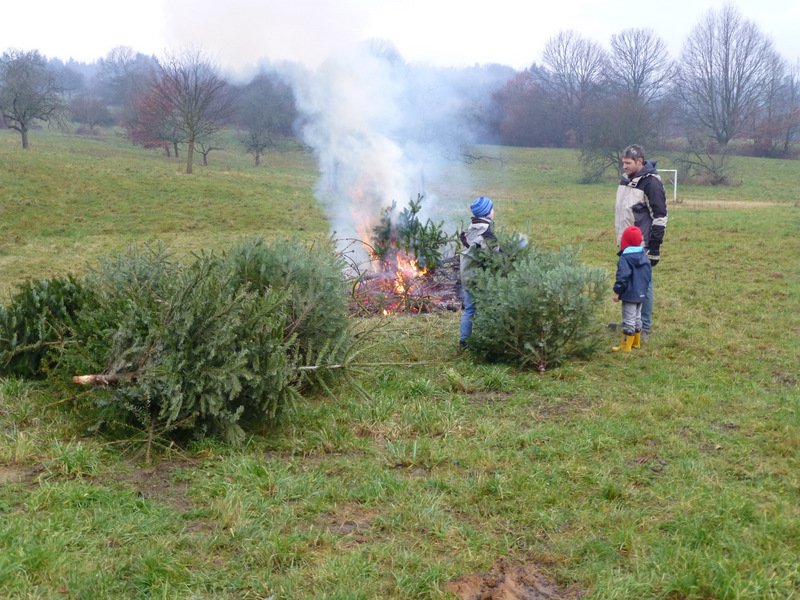 Christbaumsammelaktion