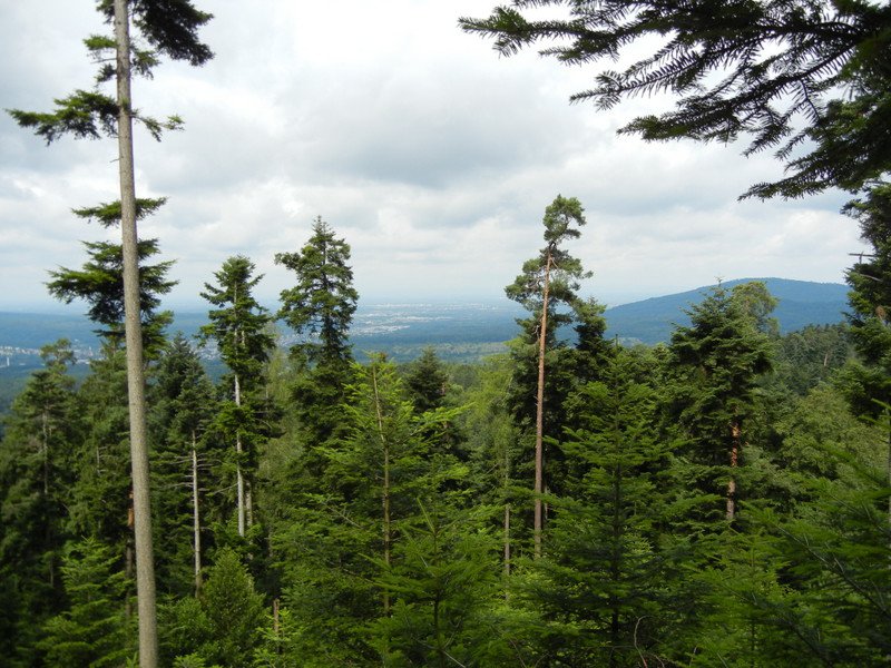 Bernsteinwanderung