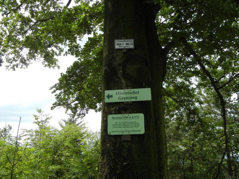 Bernsteinwanderung
