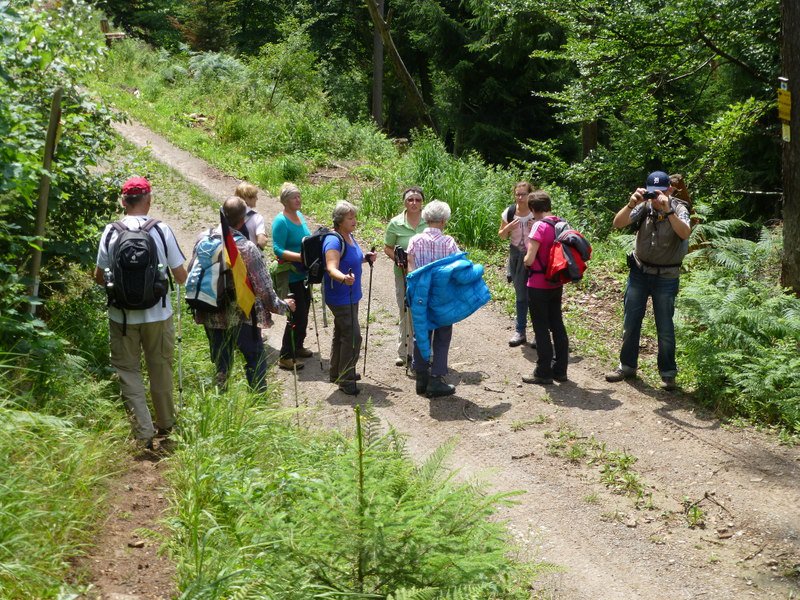 Bernsteinwanderung