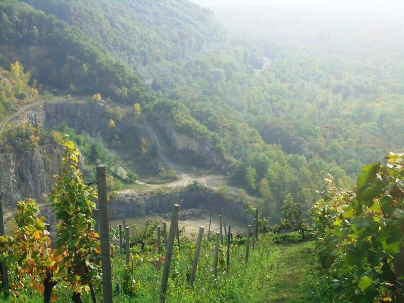 Wiiwegliimpressionen