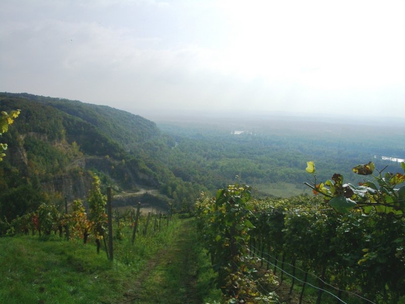 Wiiwegliimpressionen