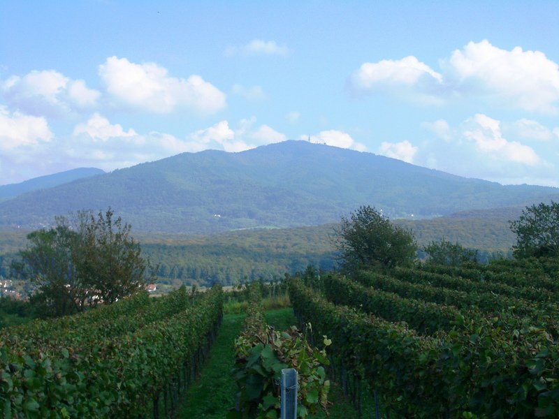 Wiiwegliimpressionen