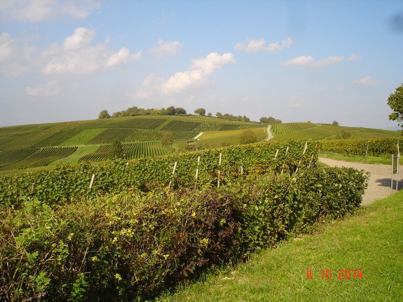 Wiiwegliimpressionen