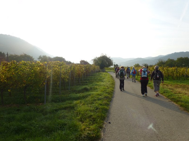 Wiiwegliimpressionen